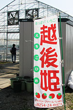 �z��P�̂̂ڂ�