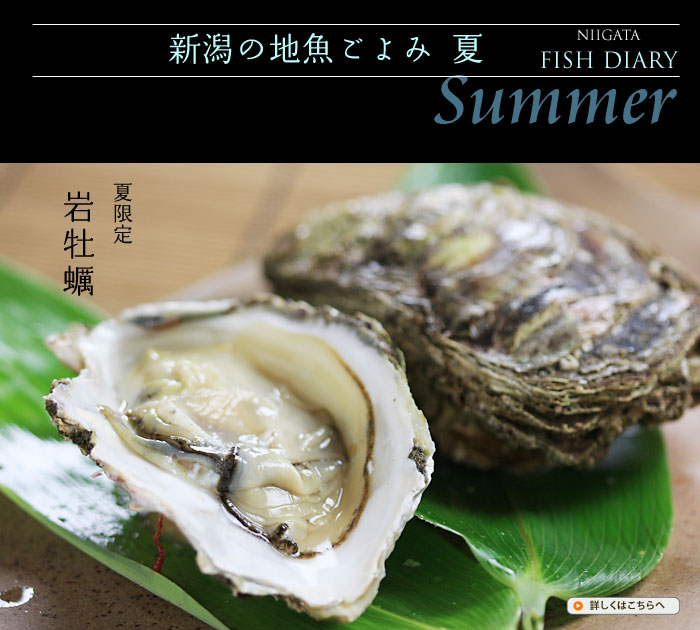 �Č���̐V���̊₪��