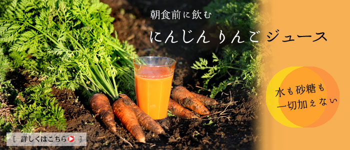 �j���W���������S�W���[�X