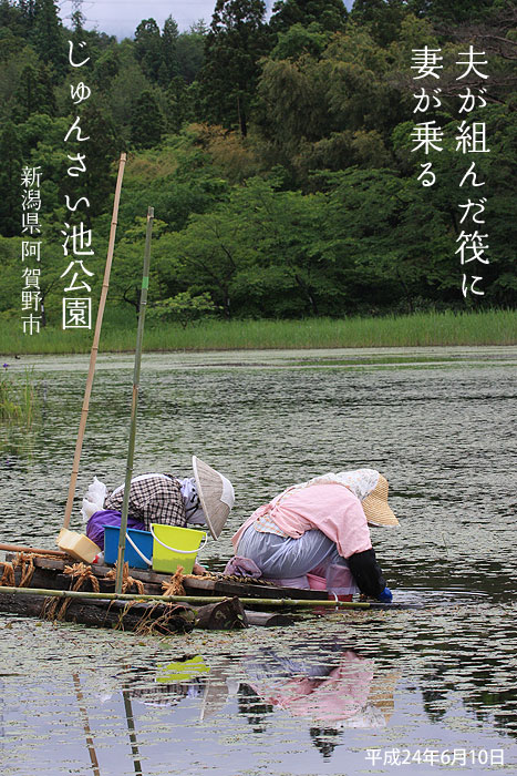 �V���������s�@����񂳂��r����