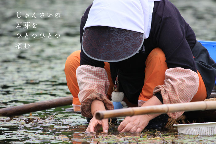 ����񂳂��r�̐^�񒆂Ŏ����ЂƂЂƂE��