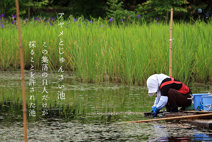 �A�����ƃW�����T�C�r����