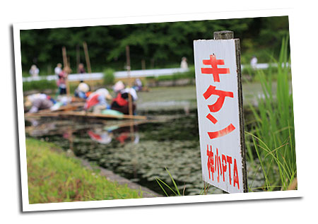 ����񂳂��r�����@�L�P���Ŕ�