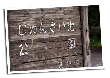 ����񂳂��r����