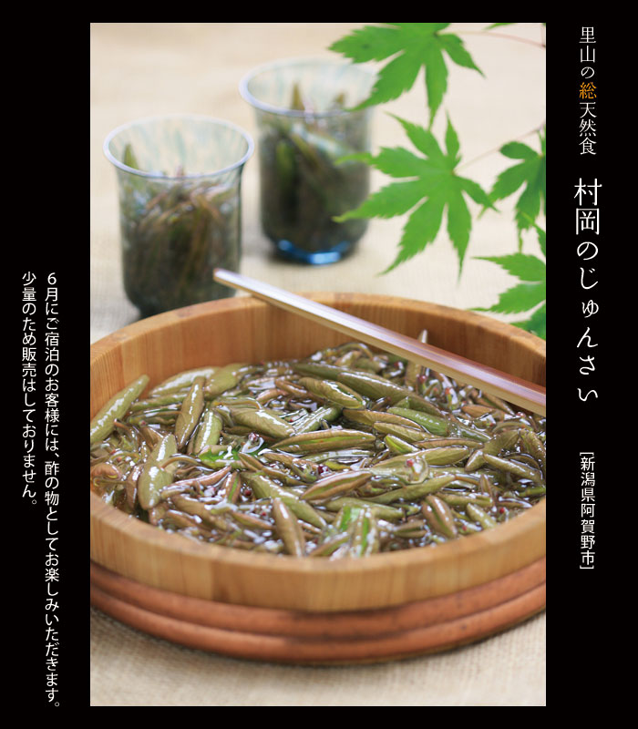 �V���������s�̂���񂳂�