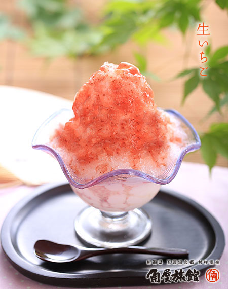 �������������X