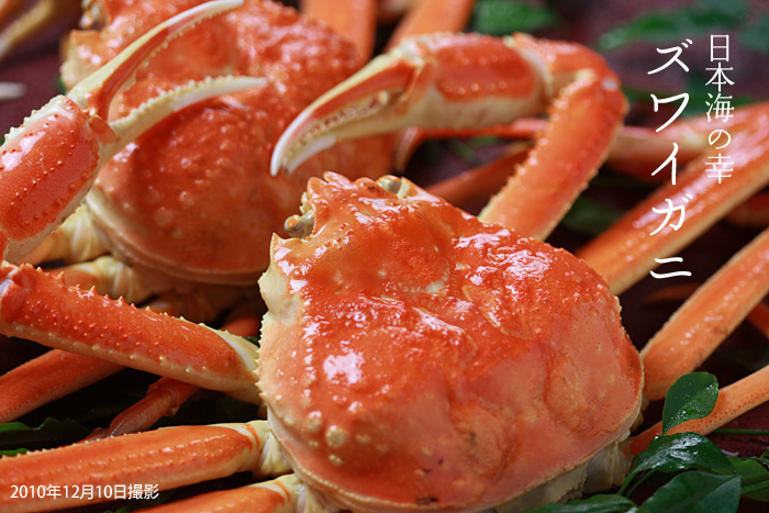 ���{�C�̍K�Y���C�K�j