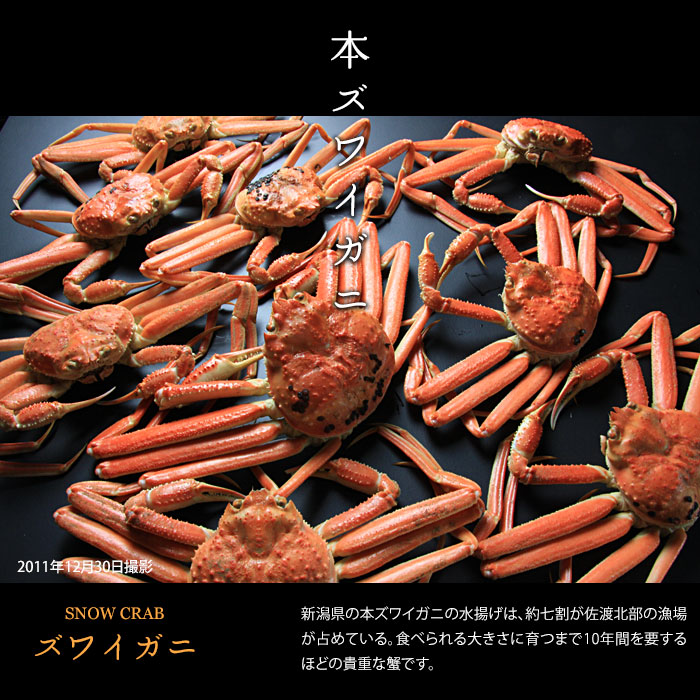 ���n�J�j�@�Y���C�K�j