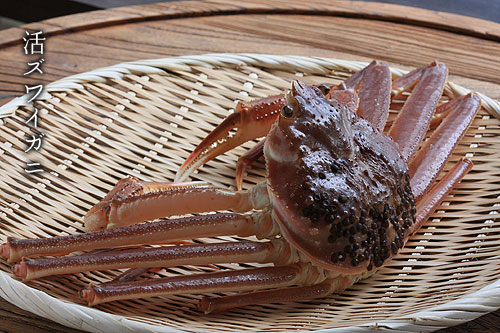 ���Y���C�K�j