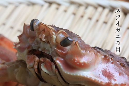 �Y���C�K�j�̖�