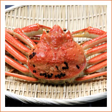 �V���̃Y���C�I