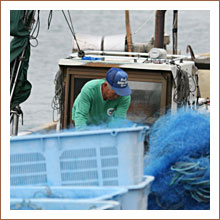 ���n�Ԕ��`