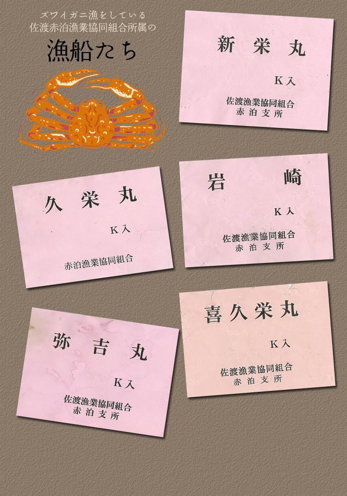 ���n�Ԕ����Ƌ����g���̋��D����