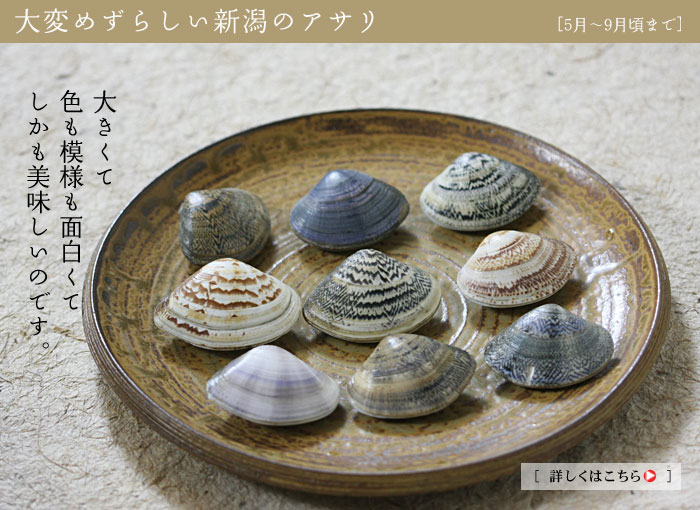 ��ς߂��炵���V���̐�