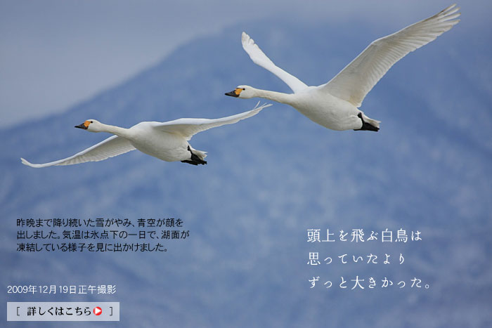 ������Ԕ����́A�v���Ă�����肸���Ƒ傫������