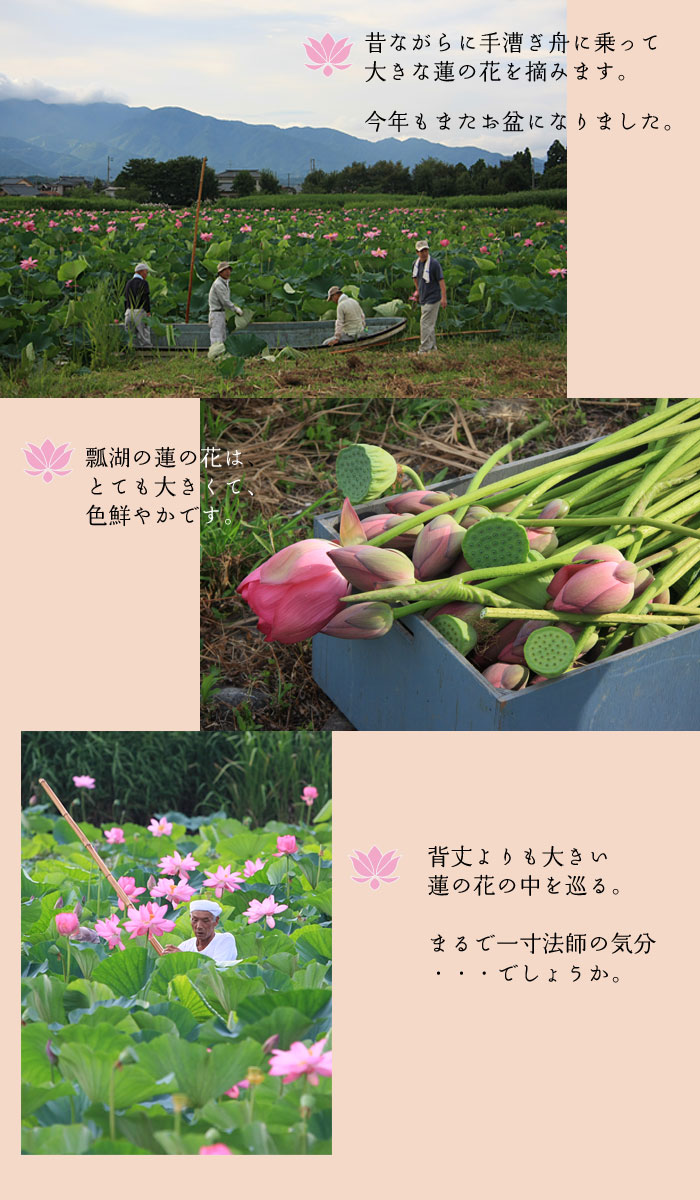 �܂�ňꐡ�@�t�̂悤�ȕ��i