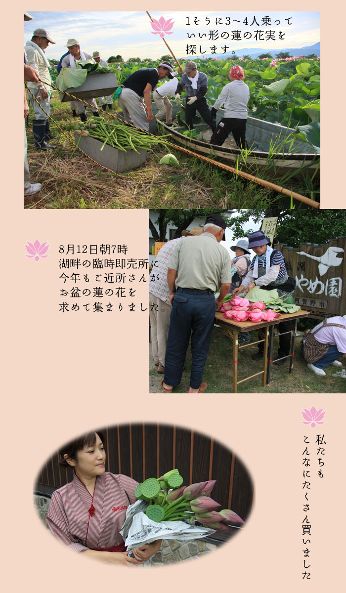 8��12���Վ��������Ŕ̔����Ă��܂���