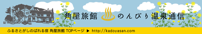 【ふるさとがしのばれる宿 角屋旅館】 のんびり温泉通信