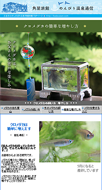 �N�����_�J�̑��₵�������܂�