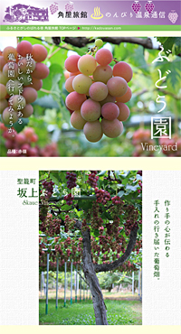 �̂�т艷��ʐM 2011/09/14�� �H�̖��o�Ԃǂ����ɍs����