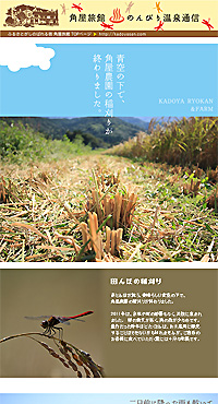 �̂�т艷��ʐM 2011/09/14�� �H�̂̂�т艷��ʐM 2011/10/01�� ���������V�ăR�V�q�J���̋G�߂ɂȂ�܂���