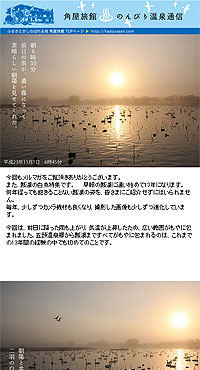 2011/11/04�@������ɕ�܂ꂽ�����̎p�Ɋ���