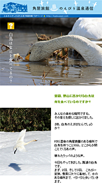 �����͉���H�ׂĂ��