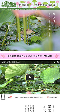 �Z�΂̃��V�S�C �S���S���I