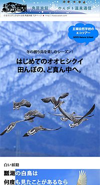 ���������ӂ̃I�I�q�V�N�C���w�K�C�h�c�A�[�ɍs���܂���