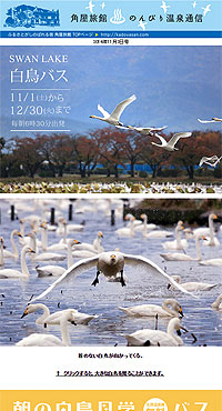 �Z�΂̔����������w�o�X�c�A�[