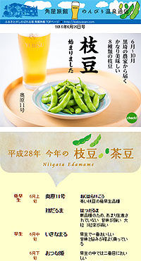 /26�@����̔_�Ƃ��璼�ړ͂��ɏ�̎}��