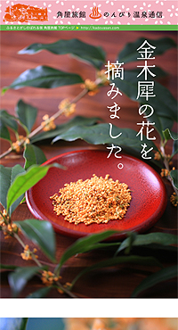 �L�����N�Z�C�̉Ԃ�E��ŉʎ��������܂�