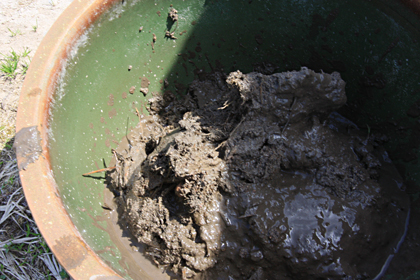 ���_�J�̓y