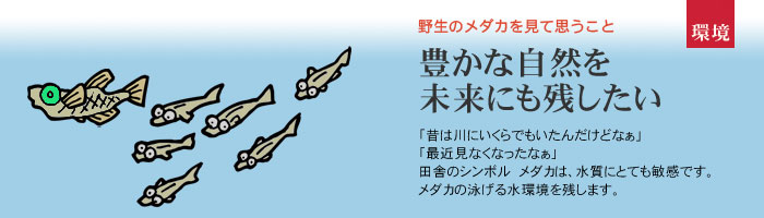 �����̓c��ڂŃz�^���ӏ�