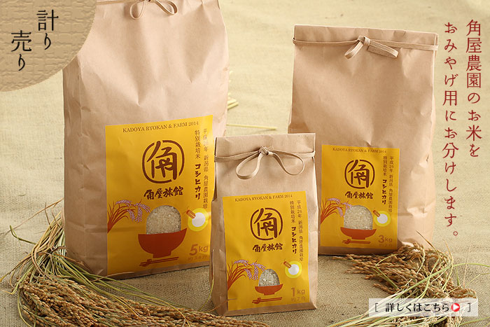 �����Ђ���̌v�蔄��