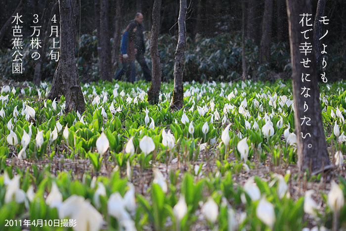 4����{3�����̐��m�Ԍ���