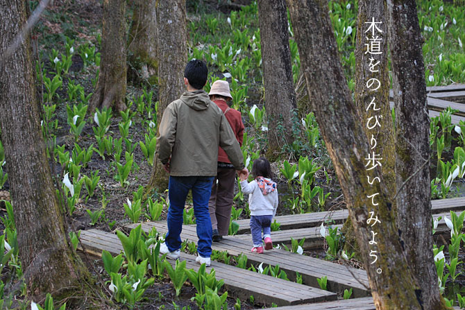 ���m�Ԃ̖ؓ������