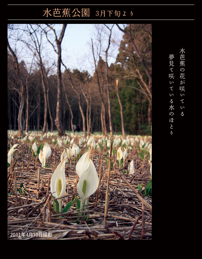 ���m�Ԍ����@3�����{���