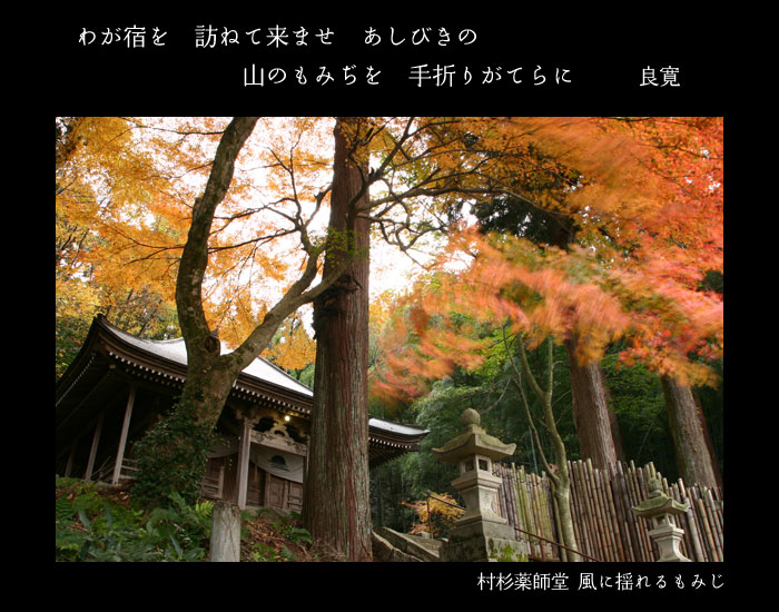 �킪�h���@�K�˂ė��܂��@�����т��́@�R�̂��݂����@��܂肪�Ă��