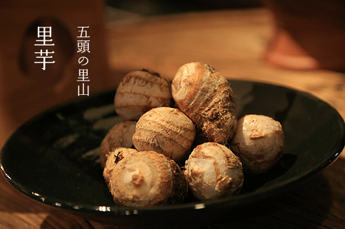 �����@�𖼌�