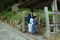 ������������ ��t�T��