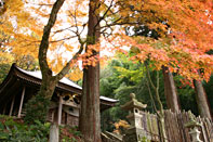 ������������ ��t�T��