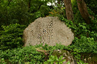 ������������ ��t�T��