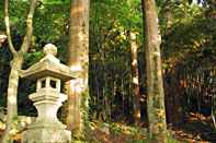 ������������ ��t�T��