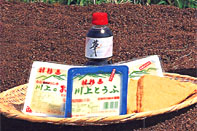 ������������ ��t�T��