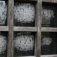 ��t�̑���