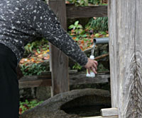 ��t�̑���