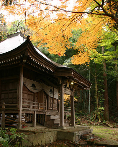 �������W�E������@��t�̑���