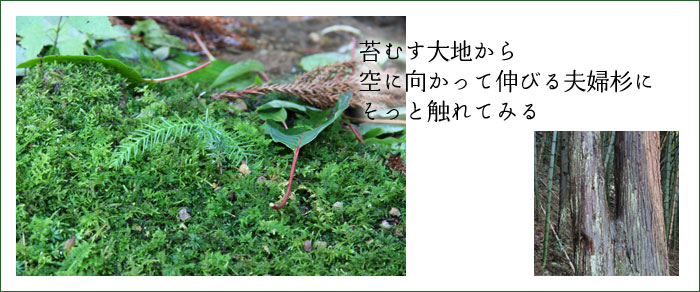 �����v�w��