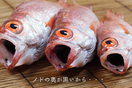 �m�h�O���@�̂ǂ���@�A�J���c